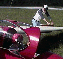 positive Control Check